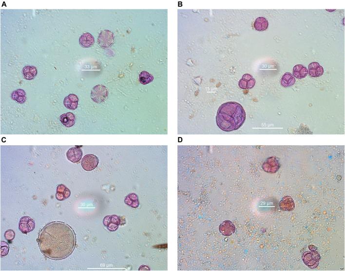 https://cdn.ncbi.nlm.nih.gov/pmc/blobs/bb8b/9353074/fe89e18284b4/fchem-10-924881-g007.jpg