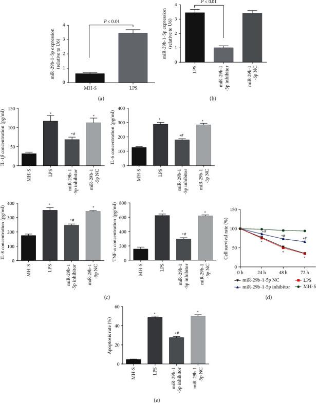 https://cdn.ncbi.nlm.nih.gov/pmc/blobs/bb8f/9481378/e68f2a7f10b9/ECAM2022-7523591.001.jpg
