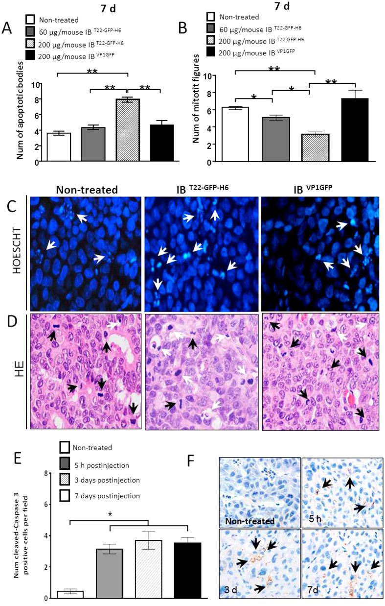 https://cdn.ncbi.nlm.nih.gov/pmc/blobs/bb90/5075894/380e4c5ce19d/srep35765-f5.jpg