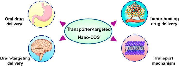 https://cdn.ncbi.nlm.nih.gov/pmc/blobs/bb91/6361857/6c8f0719693f/fx1.jpg