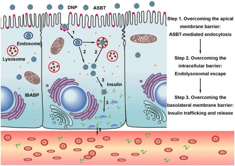 https://cdn.ncbi.nlm.nih.gov/pmc/blobs/bb91/6361857/c76c767e4b79/gr2.jpg