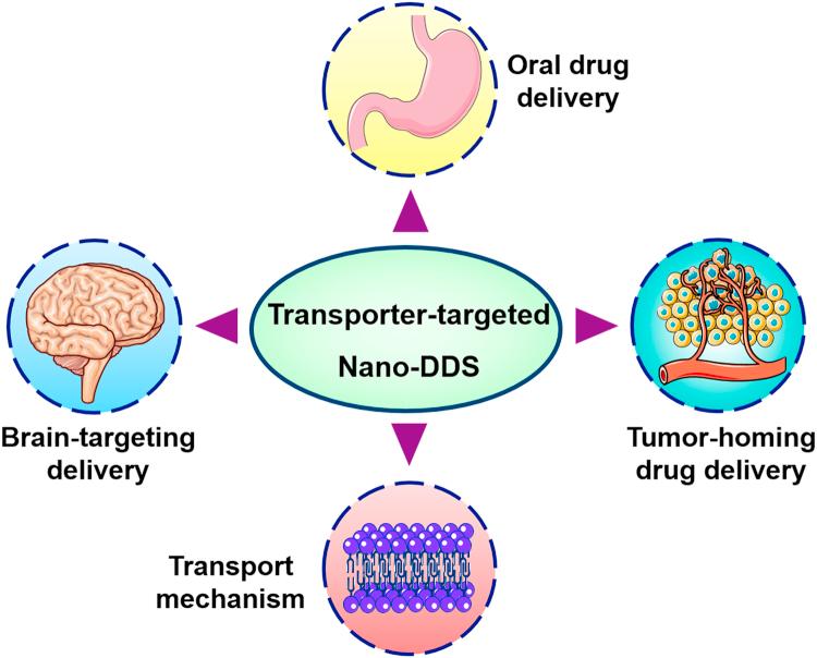 https://cdn.ncbi.nlm.nih.gov/pmc/blobs/bb91/6361857/ebf6a26e3029/gr1.jpg