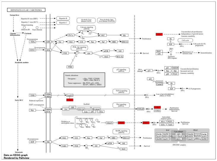 https://cdn.ncbi.nlm.nih.gov/pmc/blobs/bb93/12250750/6f764232e285/molecules-30-02855-g003.jpg
