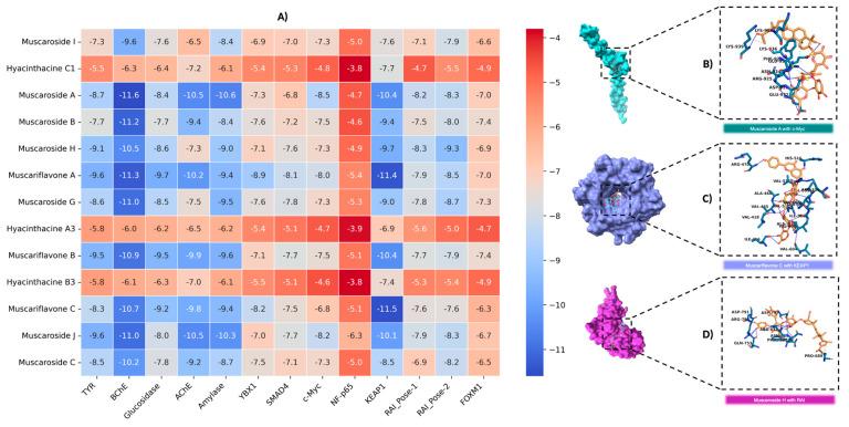 https://cdn.ncbi.nlm.nih.gov/pmc/blobs/bb93/12250750/b9ba106d3aaa/molecules-30-02855-g004.jpg
