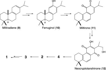 https://cdn.ncbi.nlm.nih.gov/pmc/blobs/bb93/2776380/9bef0ff7a2b8/ol-2009-02051v_0004.jpg