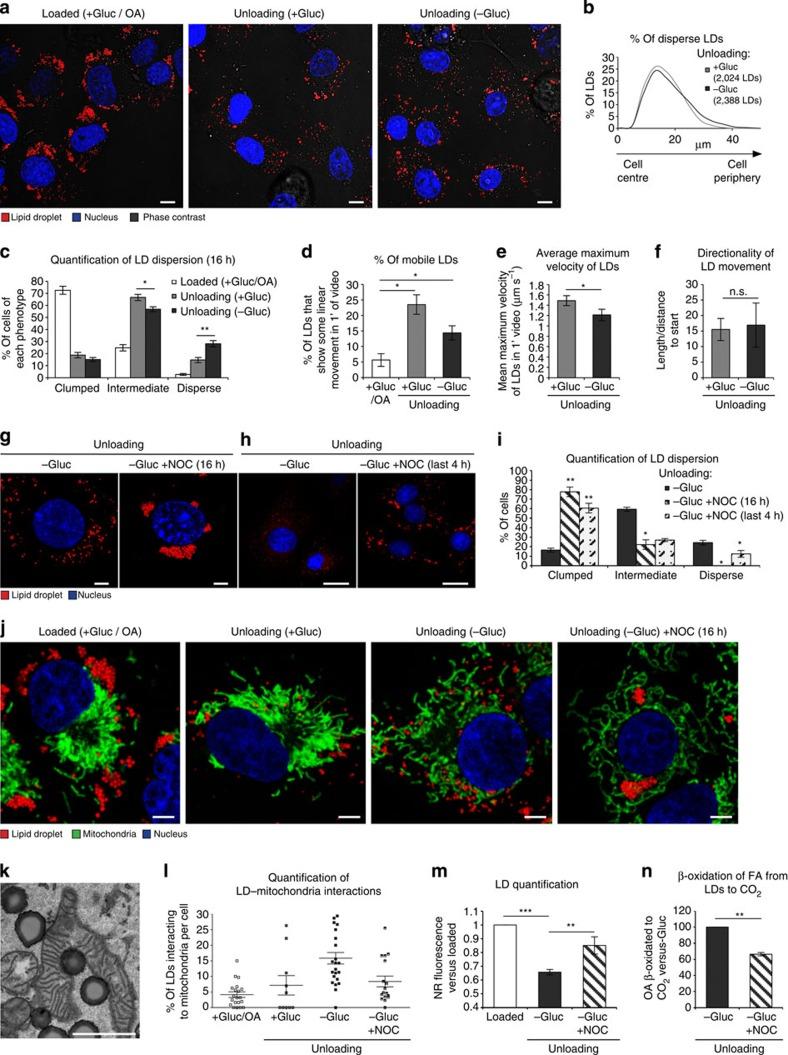 https://cdn.ncbi.nlm.nih.gov/pmc/blobs/bb94/4458896/ccf4d732b258/ncomms8176-f2.jpg