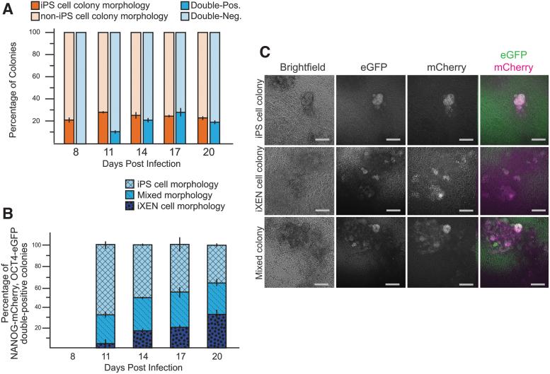 https://cdn.ncbi.nlm.nih.gov/pmc/blobs/bb94/9805857/a83e5318d049/cell.2022.0071_figure2.jpg