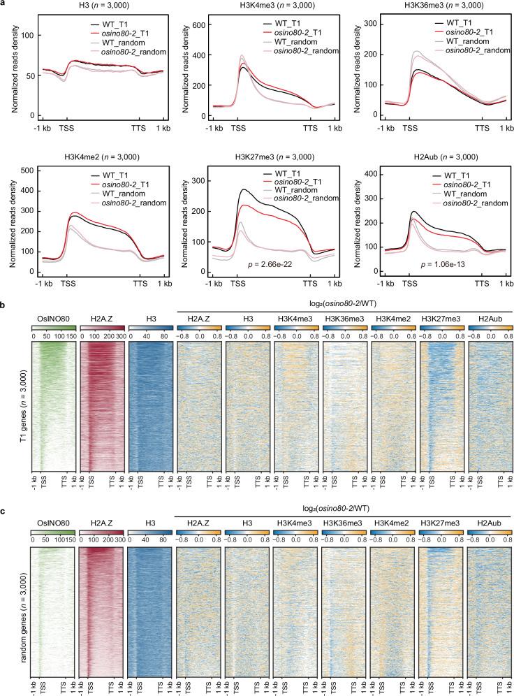 https://cdn.ncbi.nlm.nih.gov/pmc/blobs/bb98/11686384/0d207fdb7fee/41467_2024_55387_Fig3_HTML.jpg