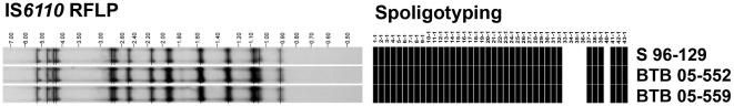 https://cdn.ncbi.nlm.nih.gov/pmc/blobs/bb98/3031603/83338fb055b9/pone.0016647.g002.jpg