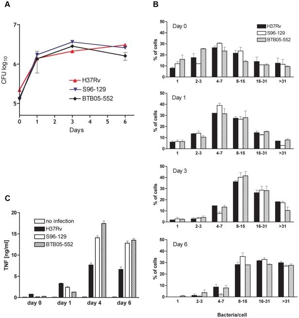 https://cdn.ncbi.nlm.nih.gov/pmc/blobs/bb98/3031603/c8a4b296c81b/pone.0016647.g003.jpg