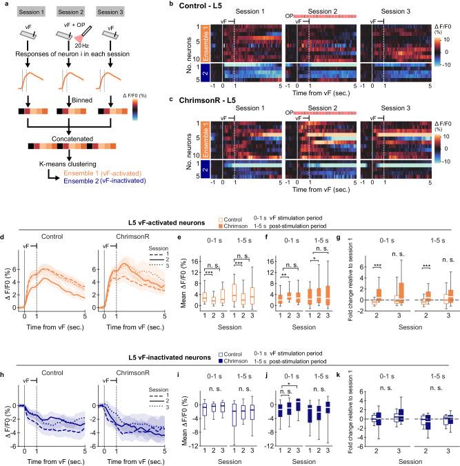 https://cdn.ncbi.nlm.nih.gov/pmc/blobs/bb9b/11233578/2d06702f527c/41467_2024_50055_Fig6_HTML.jpg