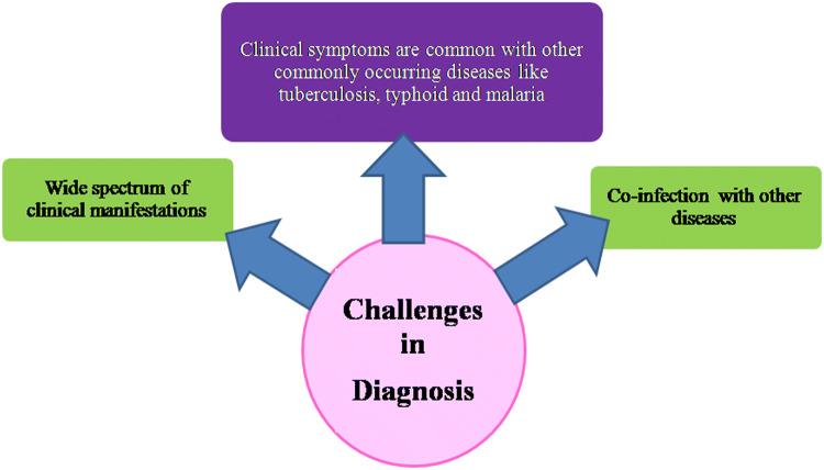 https://cdn.ncbi.nlm.nih.gov/pmc/blobs/bb9b/7244701/fae5f25d2447/12639_2020_1212_Fig2_HTML.jpg