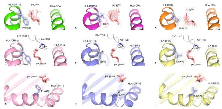 https://cdn.ncbi.nlm.nih.gov/pmc/blobs/bb9c/7582474/3d6ab000ee53/ijms-21-07081-g002.jpg