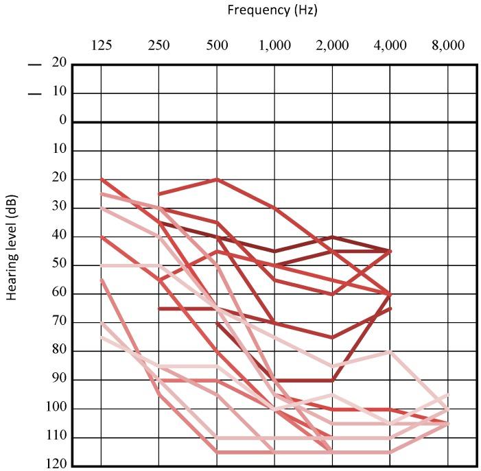 https://cdn.ncbi.nlm.nih.gov/pmc/blobs/bb9e/6826470/9bcf5340230e/genes-10-00735-g003.jpg
