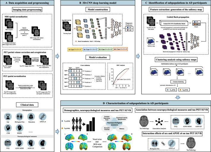 https://cdn.ncbi.nlm.nih.gov/pmc/blobs/bba0/12149067/14c68cd96732/40658_2025_761_Fig1_HTML.jpg