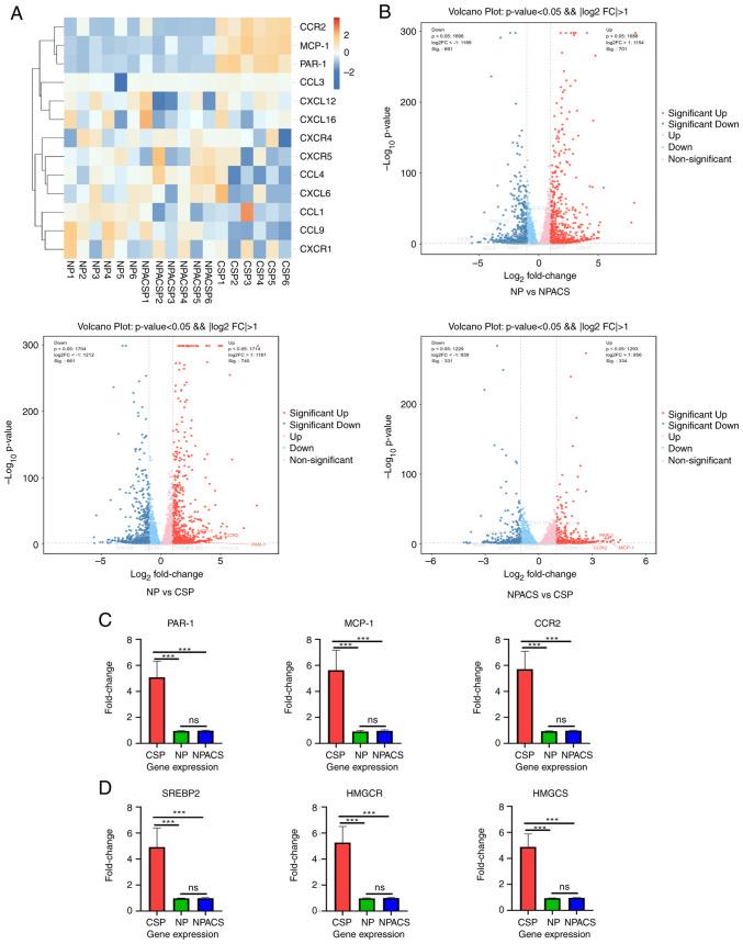 https://cdn.ncbi.nlm.nih.gov/pmc/blobs/bba1/12235716/9d4a46bc5db3/br-23-03-02026-g01.jpg