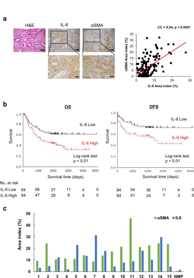 https://cdn.ncbi.nlm.nih.gov/pmc/blobs/bba2/11762302/0ffc593c4fa4/41598_2025_88033_Fig1_HTML.jpg