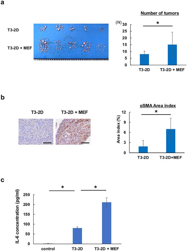 https://cdn.ncbi.nlm.nih.gov/pmc/blobs/bba2/11762302/27b1e6376e69/41598_2025_88033_Fig3_HTML.jpg