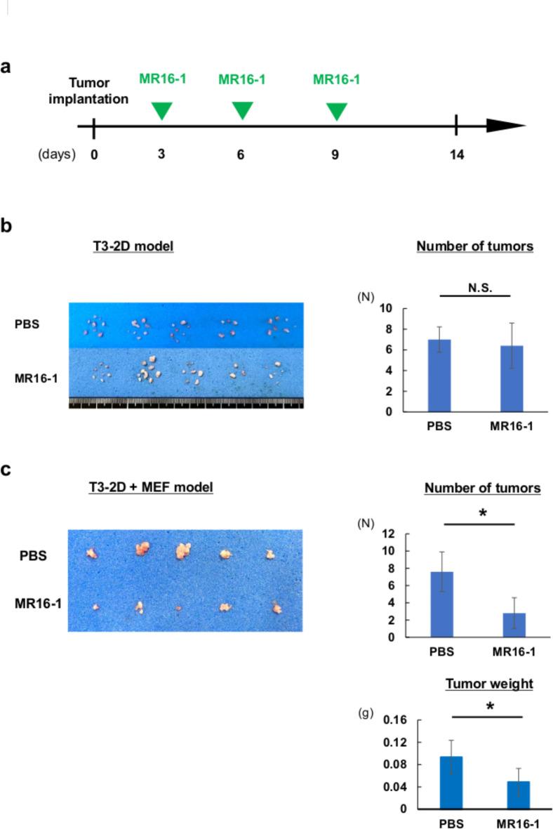 https://cdn.ncbi.nlm.nih.gov/pmc/blobs/bba2/11762302/5a78cf685e84/41598_2025_88033_Fig4_HTML.jpg