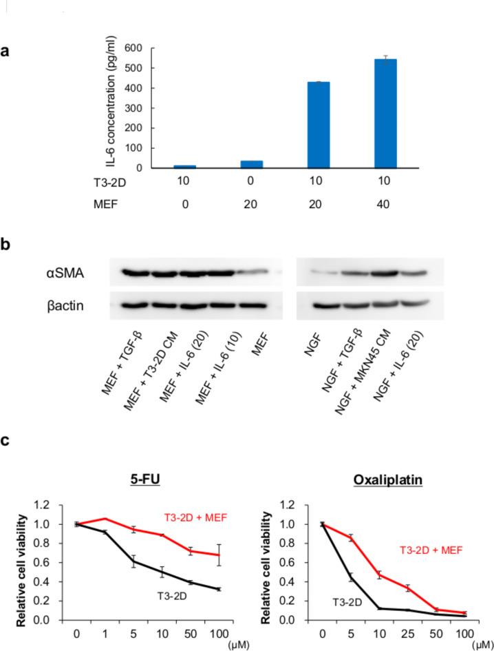 https://cdn.ncbi.nlm.nih.gov/pmc/blobs/bba2/11762302/7b4969a6bced/41598_2025_88033_Fig2_HTML.jpg