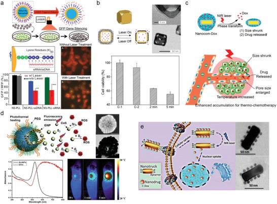 https://cdn.ncbi.nlm.nih.gov/pmc/blobs/bba2/6724476/e9f87841e961/ADVS-6-1900471-g008.jpg