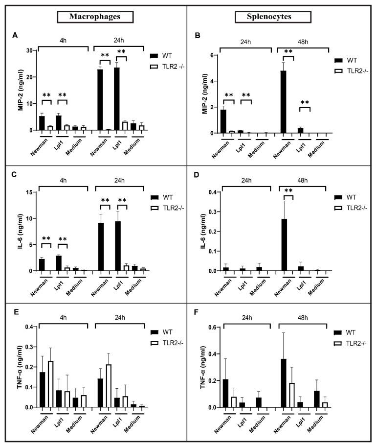 https://cdn.ncbi.nlm.nih.gov/pmc/blobs/bba2/8268867/c5a1852d9507/ijms-22-07099-g002.jpg