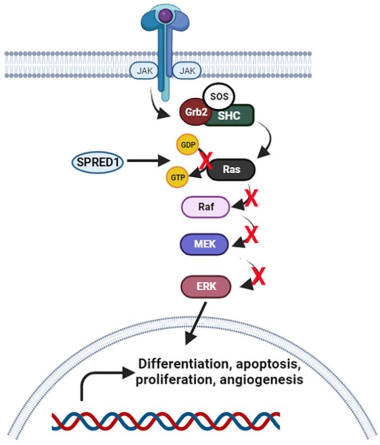 https://cdn.ncbi.nlm.nih.gov/pmc/blobs/bba3/10254685/2de9b3d8eedd/molecules-28-04357-g003.jpg