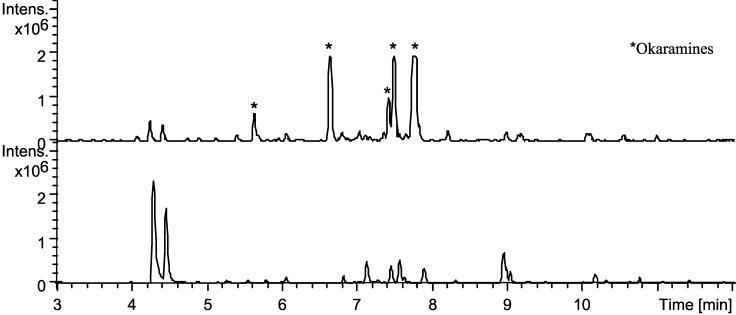 https://cdn.ncbi.nlm.nih.gov/pmc/blobs/bba5/6271215/a16a8400105e/molecules-19-10898-g010.jpg