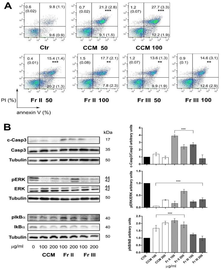 https://cdn.ncbi.nlm.nih.gov/pmc/blobs/bba7/10778756/a21843e9ff6e/ijms-25-00252-g003.jpg