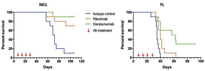 https://cdn.ncbi.nlm.nih.gov/pmc/blobs/bba7/7109732/140d71bb205e/1051032.fig4.jpg