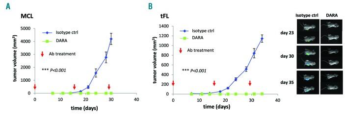 https://cdn.ncbi.nlm.nih.gov/pmc/blobs/bba7/7109732/f0c7f0fcc330/1051032.fig3.jpg