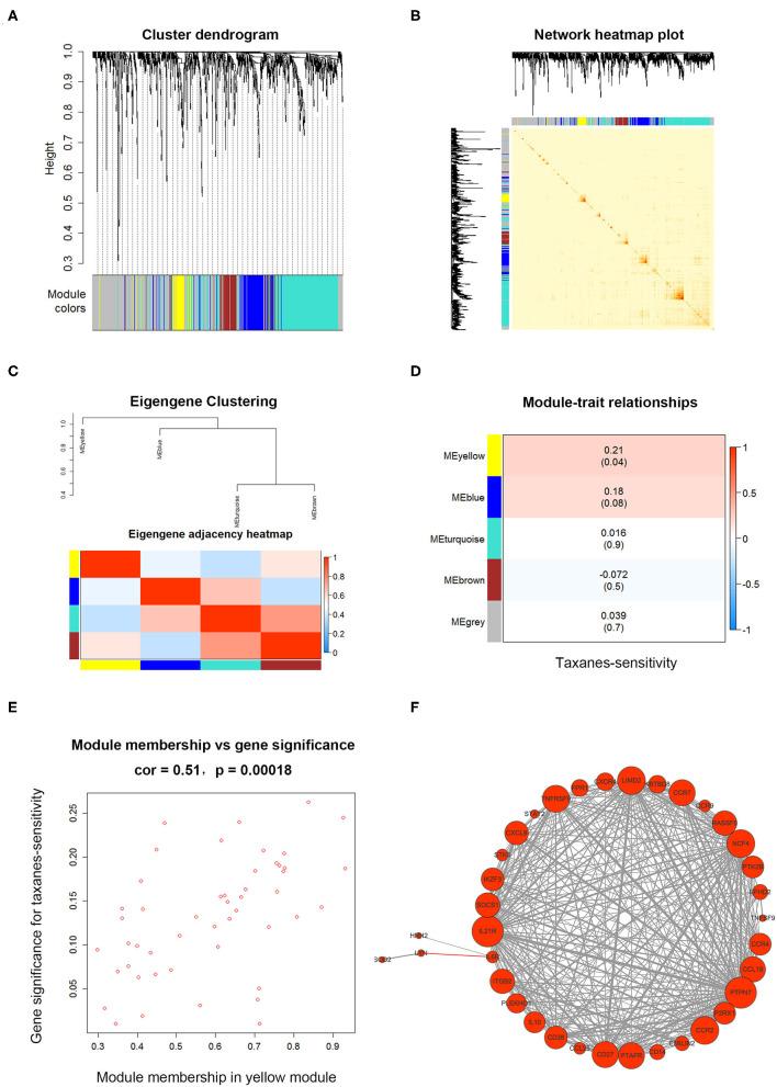 https://cdn.ncbi.nlm.nih.gov/pmc/blobs/bba8/7473300/814080f10489/fonc-10-01397-g0003.jpg