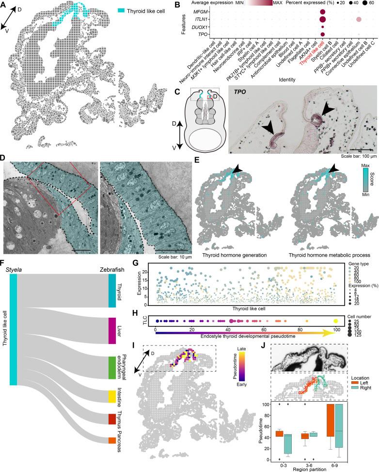 https://cdn.ncbi.nlm.nih.gov/pmc/blobs/bbaa/10980280/c7609e0f9cb8/sciadv.adi9035-f4.jpg