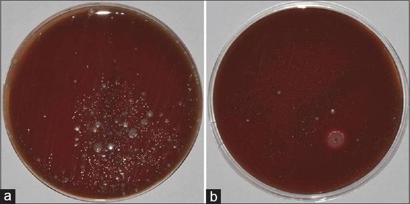 https://cdn.ncbi.nlm.nih.gov/pmc/blobs/bbac/7720760/b122bbd51727/JCD-23-163-g004.jpg