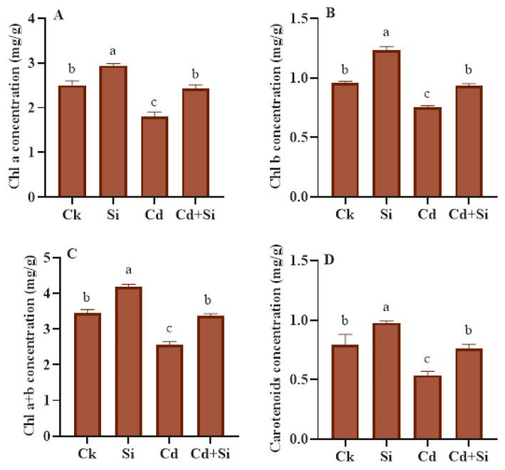 https://cdn.ncbi.nlm.nih.gov/pmc/blobs/bbad/11207486/fd4bc09c8a1b/plants-13-01715-g003.jpg