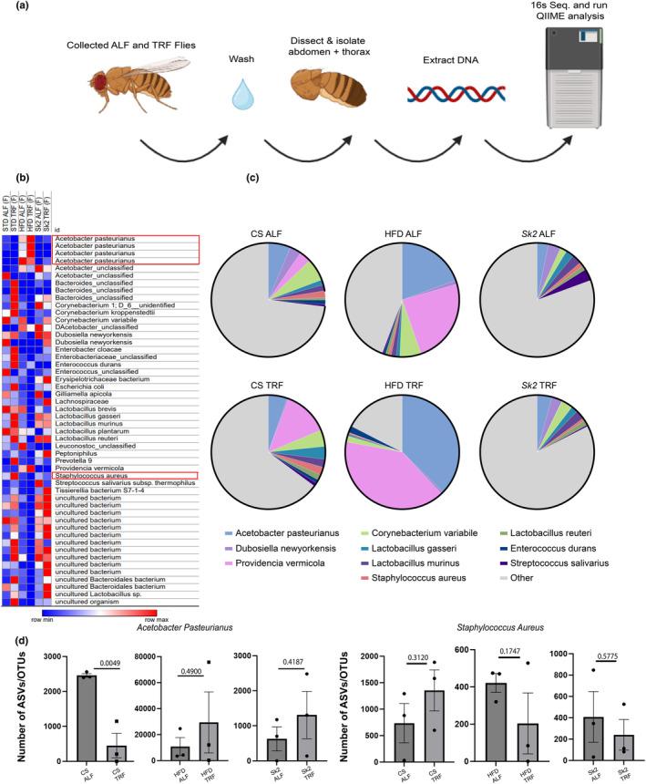 https://cdn.ncbi.nlm.nih.gov/pmc/blobs/bbae/11822661/33838ea3c19d/ACEL-24-e14382-g005.jpg