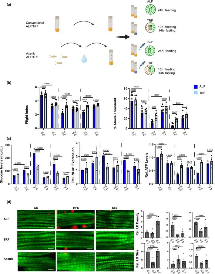 https://cdn.ncbi.nlm.nih.gov/pmc/blobs/bbae/11822661/ab49d83b170e/ACEL-24-e14382-g006.jpg
