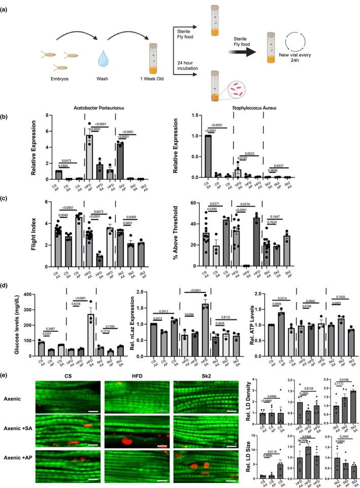 https://cdn.ncbi.nlm.nih.gov/pmc/blobs/bbae/11822661/bc78dbc20b27/ACEL-24-e14382-g004.jpg