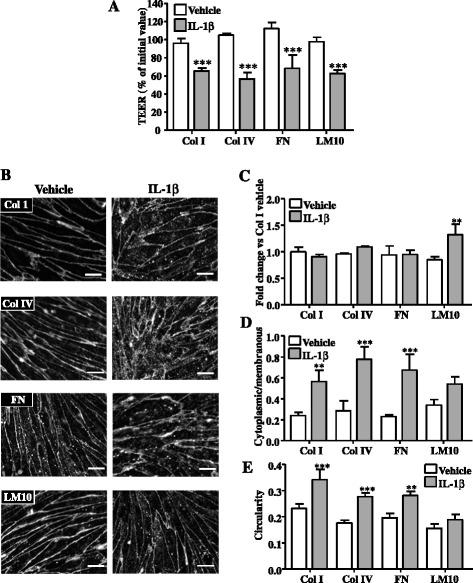 https://cdn.ncbi.nlm.nih.gov/pmc/blobs/bbb2/4736307/59a3745776ec/12974_2016_495_Fig6_HTML.jpg