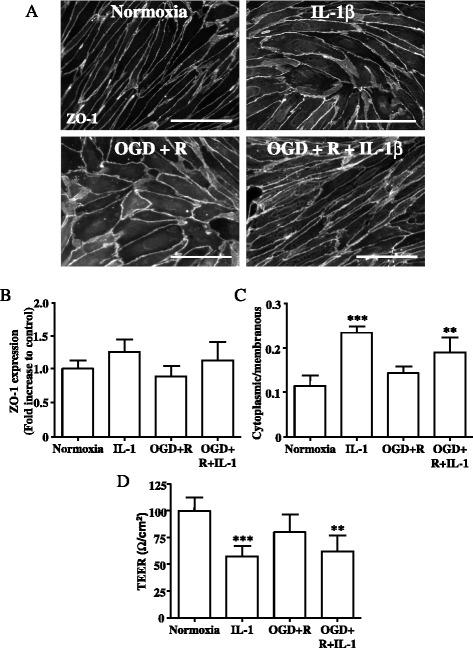 https://cdn.ncbi.nlm.nih.gov/pmc/blobs/bbb2/4736307/7cf9462c350c/12974_2016_495_Fig3_HTML.jpg