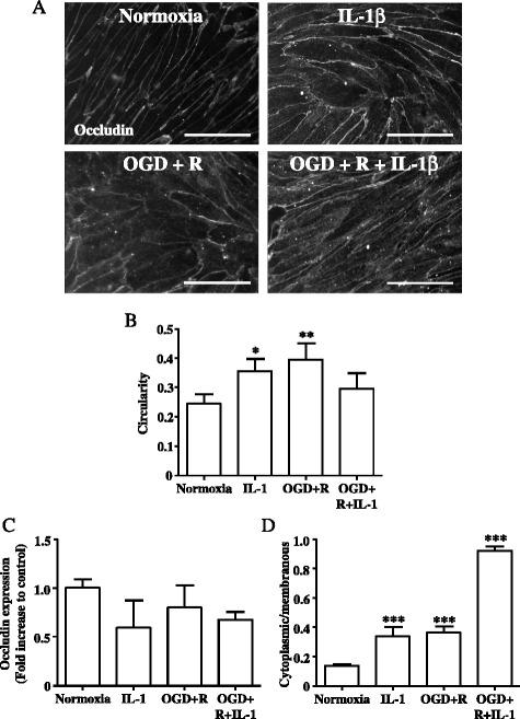 https://cdn.ncbi.nlm.nih.gov/pmc/blobs/bbb2/4736307/829a64a41587/12974_2016_495_Fig2_HTML.jpg
