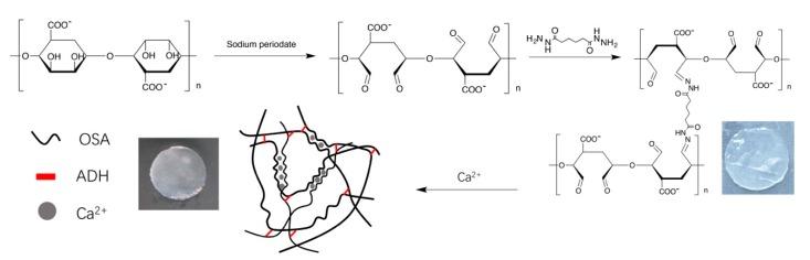 https://cdn.ncbi.nlm.nih.gov/pmc/blobs/bbb2/6804146/05c0a3ffbc0b/molecules-24-03606-g001.jpg
