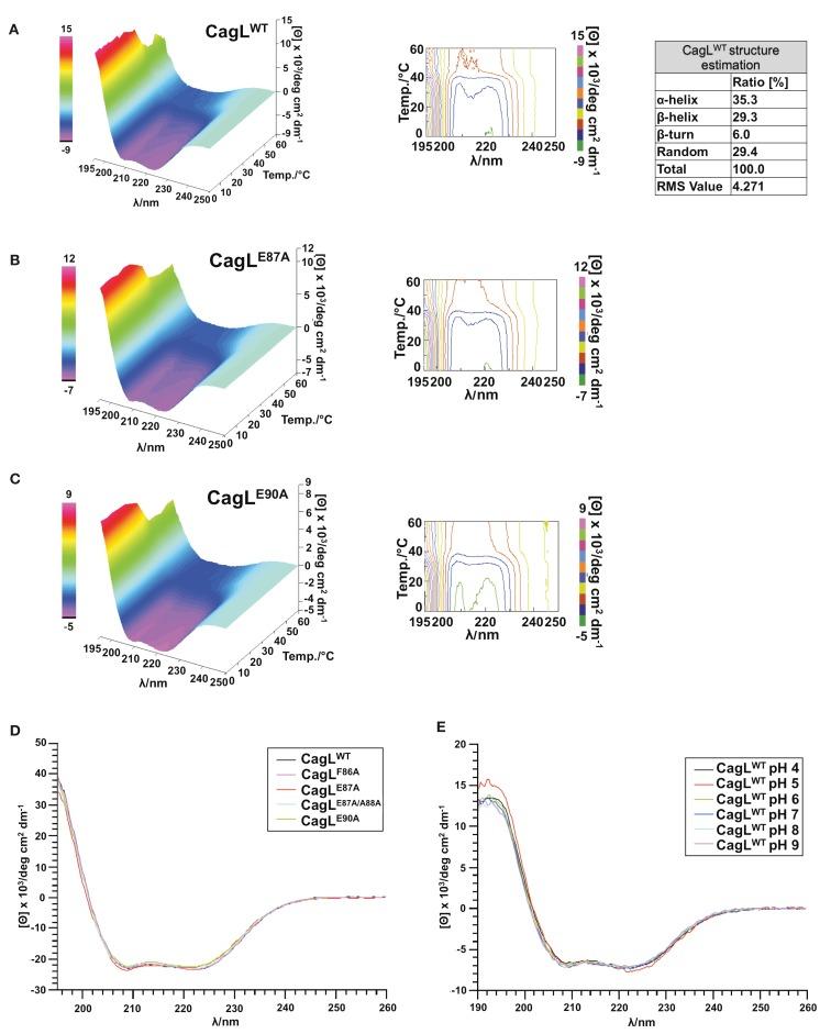 https://cdn.ncbi.nlm.nih.gov/pmc/blobs/bbb4/3417467/012956307846/fcimb-02-00070-g003.jpg