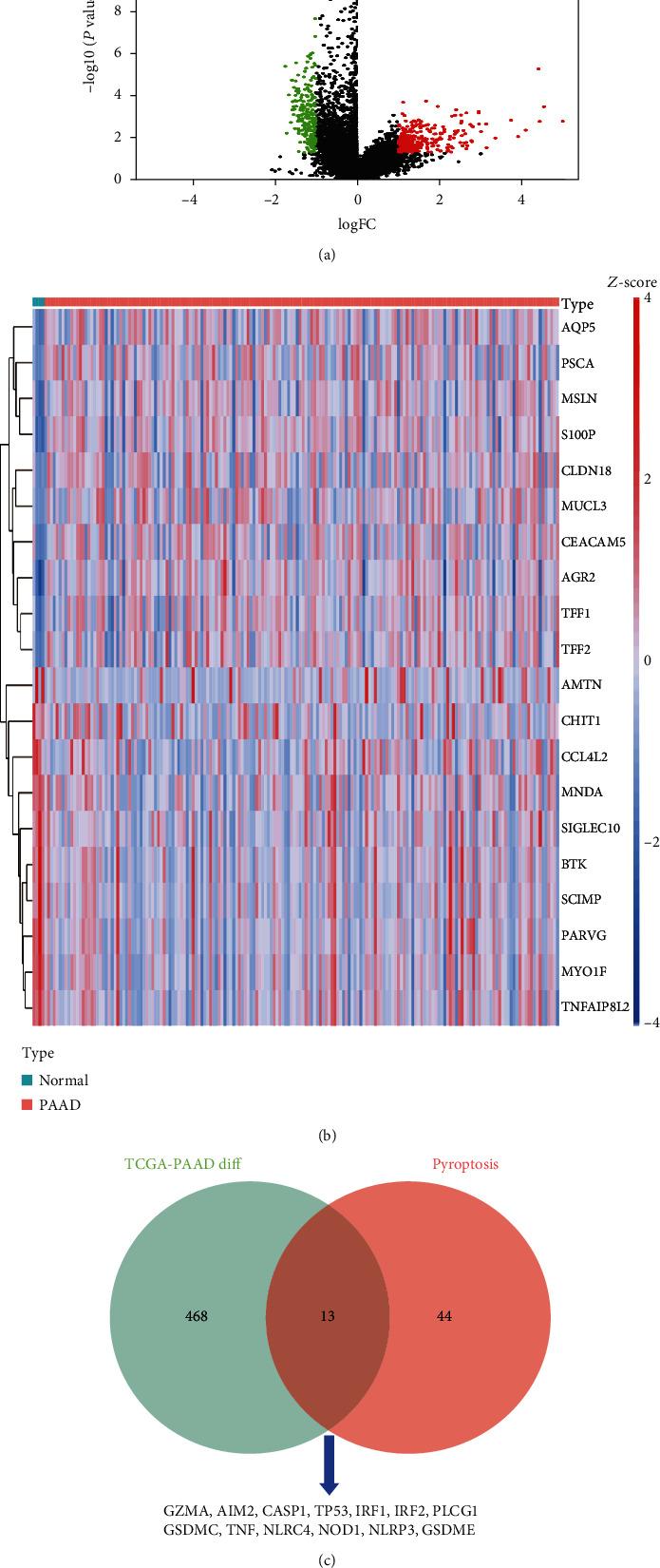 https://cdn.ncbi.nlm.nih.gov/pmc/blobs/bbb5/9169203/732322455f66/DM2022-9141117.001.jpg