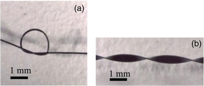 https://cdn.ncbi.nlm.nih.gov/pmc/blobs/bbb6/7005533/6d817882bcb5/JBO-024-121907-g002.jpg