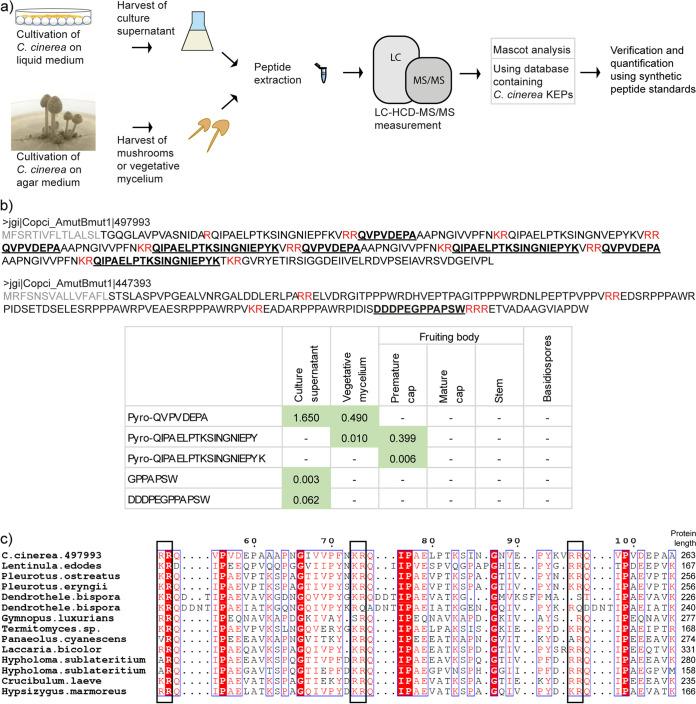 https://cdn.ncbi.nlm.nih.gov/pmc/blobs/bbb6/9769878/668c15f97abc/spectrum.02021-22-f003.jpg