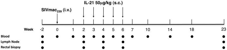 https://cdn.ncbi.nlm.nih.gov/pmc/blobs/bbb7/3701718/5d15b141b193/ppat.1003471.g001.jpg
