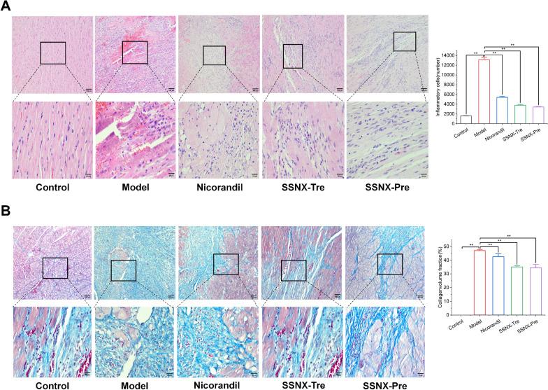 https://cdn.ncbi.nlm.nih.gov/pmc/blobs/bbb8/10510173/29ea1b9adbfe/13020_2023_810_Fig3_HTML.jpg