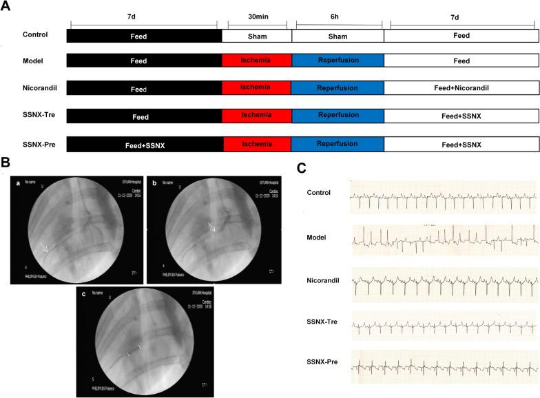 https://cdn.ncbi.nlm.nih.gov/pmc/blobs/bbb8/10510173/4afcb3a39d9d/13020_2023_810_Fig1_HTML.jpg