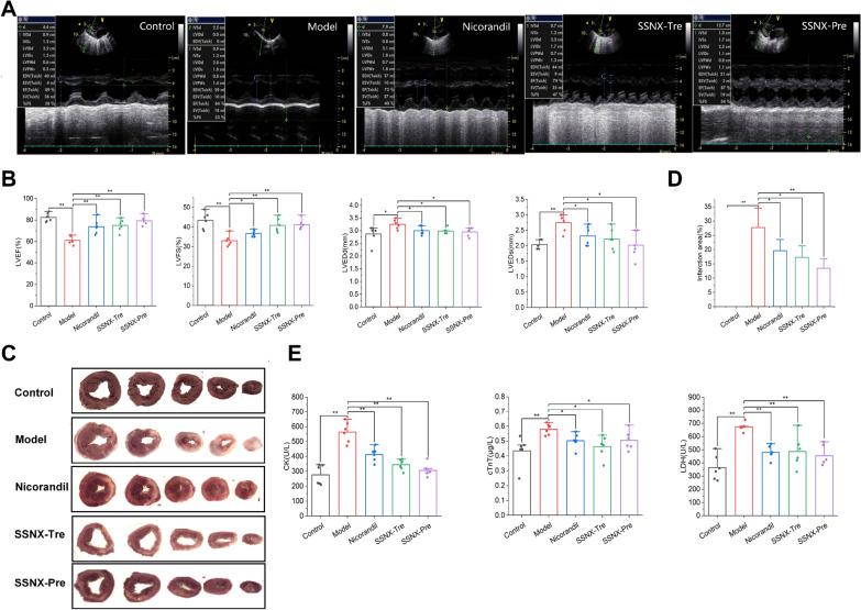 https://cdn.ncbi.nlm.nih.gov/pmc/blobs/bbb8/10510173/7d69d0ec9321/13020_2023_810_Fig2_HTML.jpg